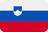 Slovenia flag
